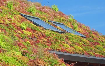 Riverview Park living roof systems